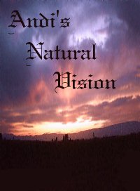 Andi's Natural Vision